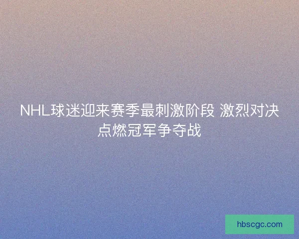 NHL球迷迎来赛季最刺激阶段 激烈对决点燃冠军争夺战