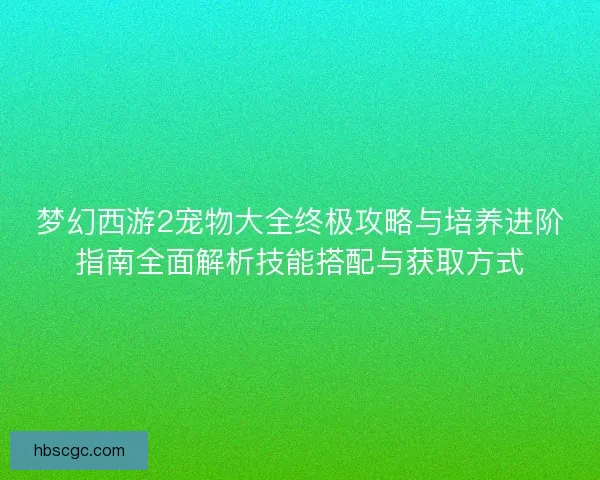 梦幻西游2宠物大全终极攻略与培养进阶指南全面解析技能搭配与获取方式