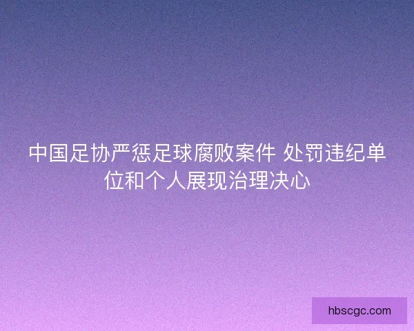 中国足协严惩足球腐败案件 处罚违纪单位和个人展现治理决心